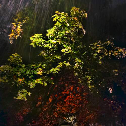 night rain