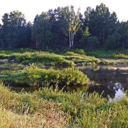 Photo #6532216