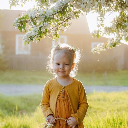 Photo #6532503