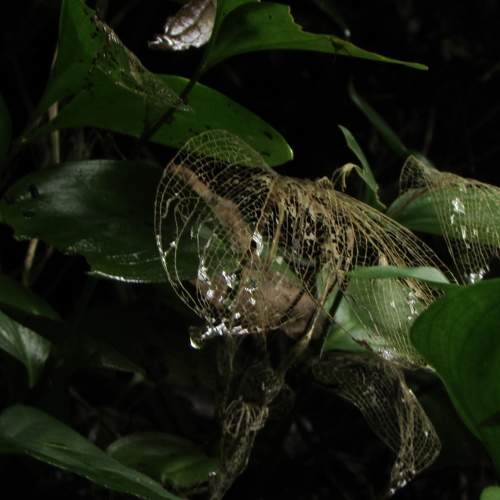 Photo #6532941