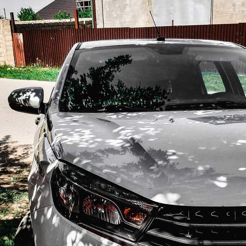 Photo #6533449