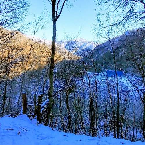 Photo #6533476