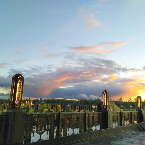 Photo #6533561