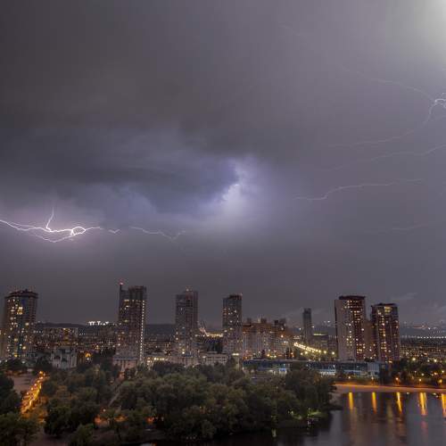 Photo #6533566