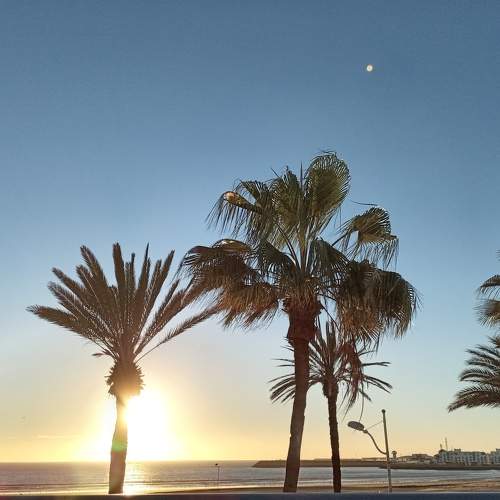 Photo #6533731