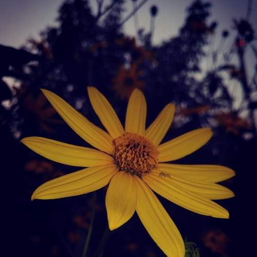 Photo #6533760