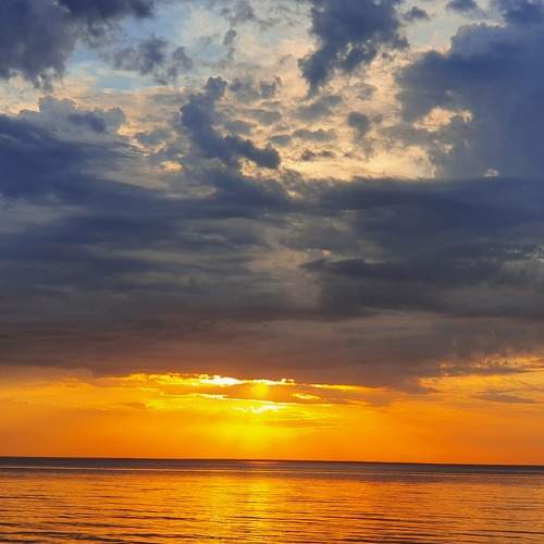 Photo #6534021