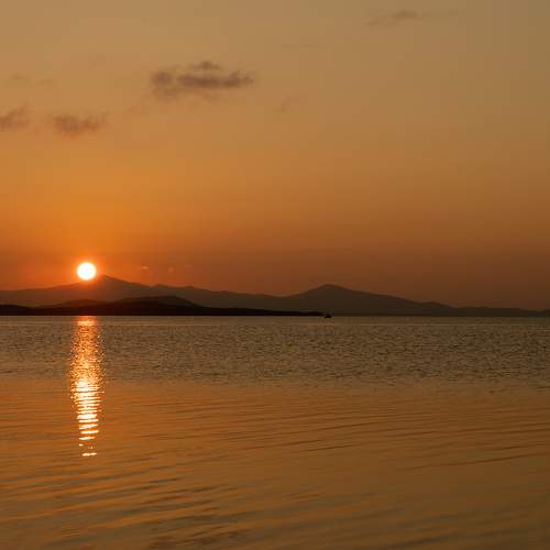 Photo #6534053