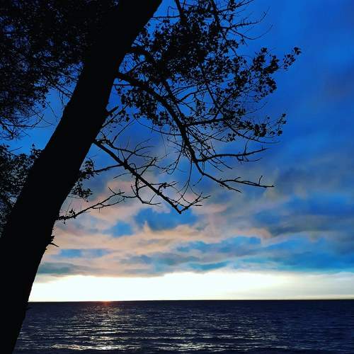 Photo #6534080