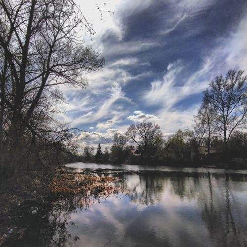Photo #6534138