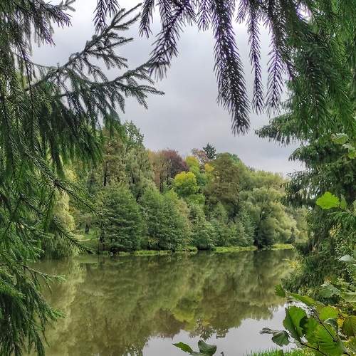 Photo #6534527