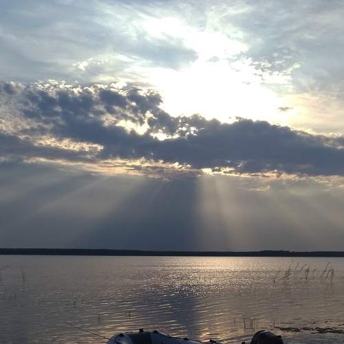 Photo #6534575