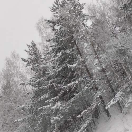 Photo #6534897