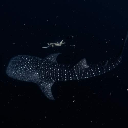 Photo #6535136
