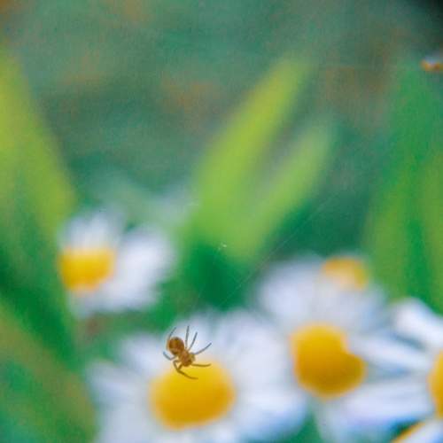 Photo #6535382