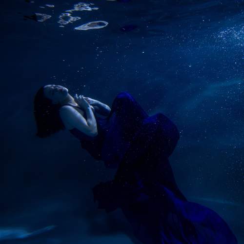 Photo #6535406