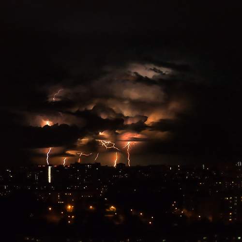 Photo #6536109