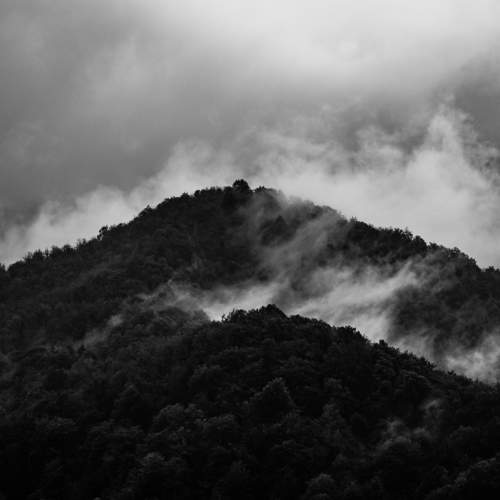 Photo #6536116
