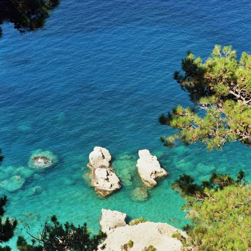 Photo #6536123
