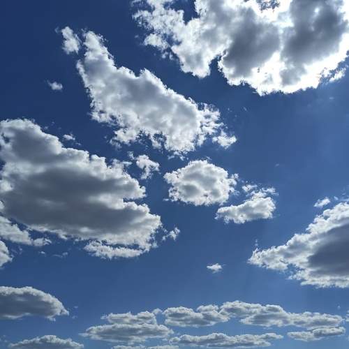 Photo #6536328