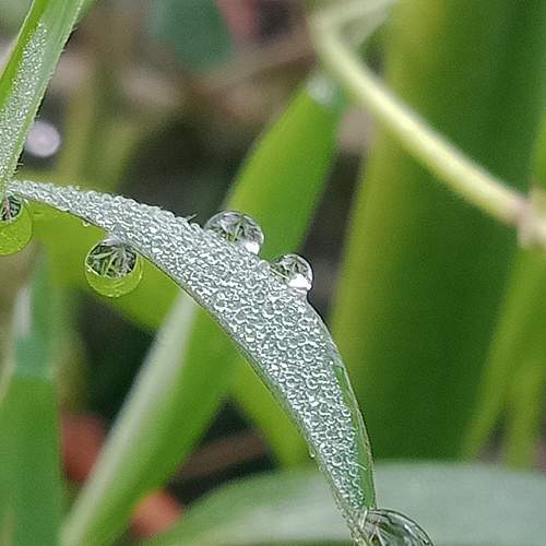 Photo #6536362