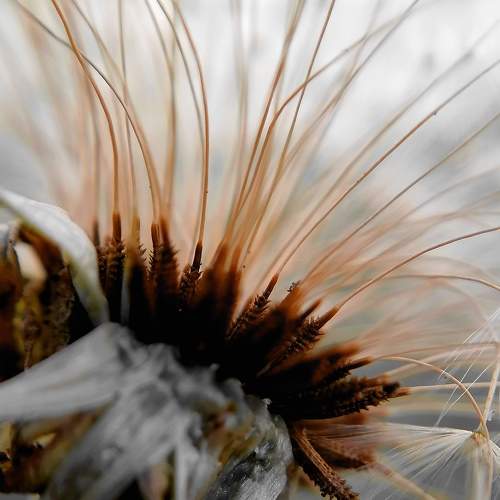 Photo #6536628