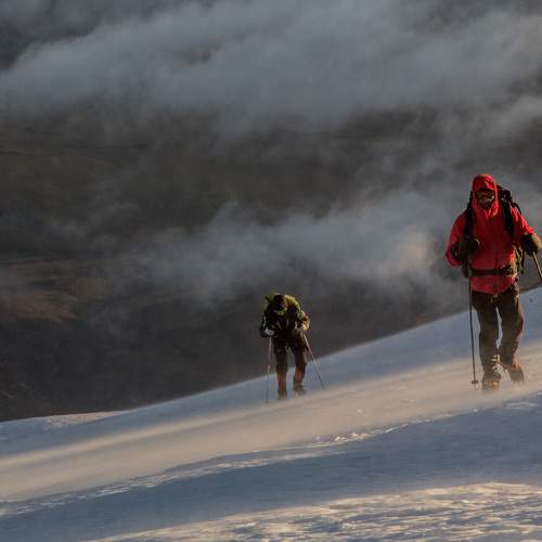 Photo #6536720