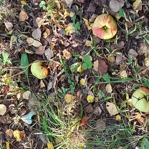 Photo #6537058
