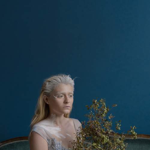 Photo #6537205