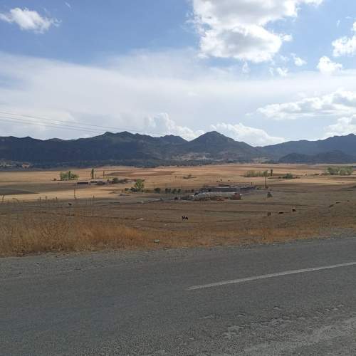 Photo #6537294