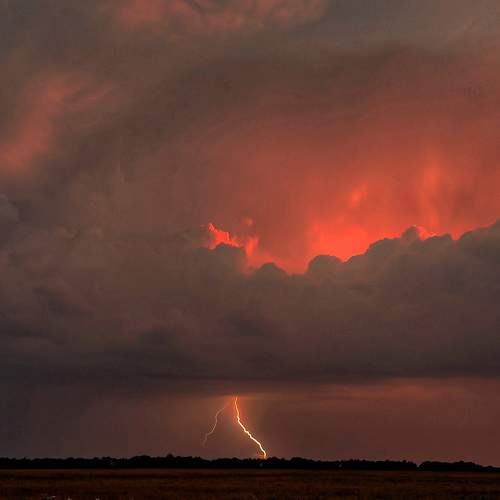 Photo #6537835