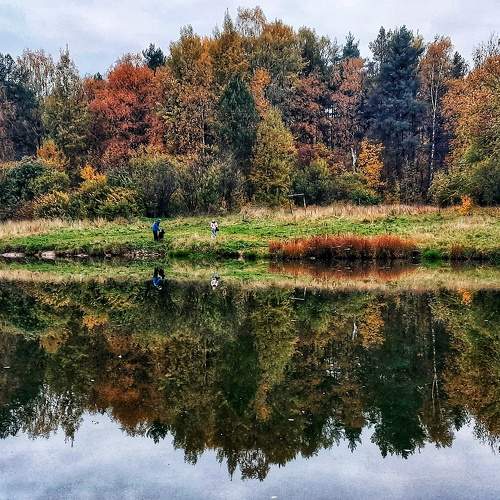 Pulse of Nature