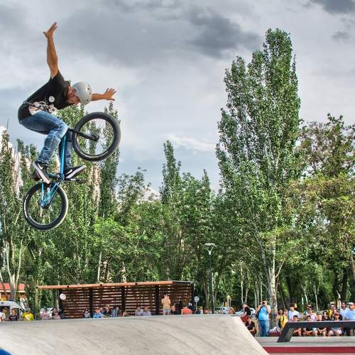 Photo #6537900