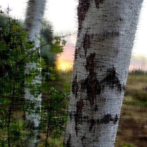 Photo #6538324
