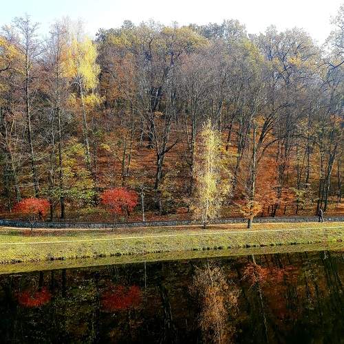 Photo #6539307