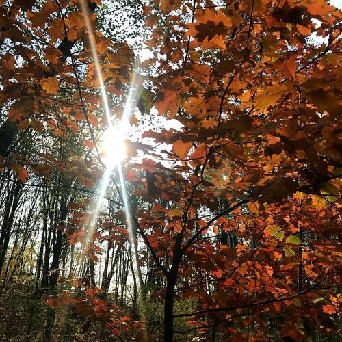 Photo #6539334