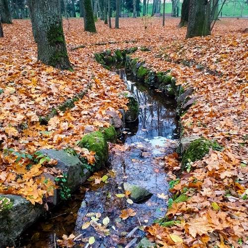 Photo #6539469