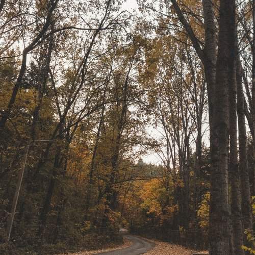 Photo #6539471