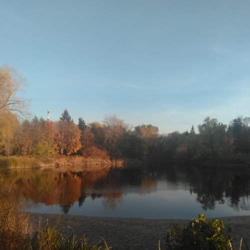 Photo #6539745