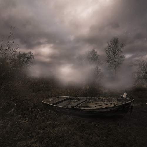 Photo #6539754