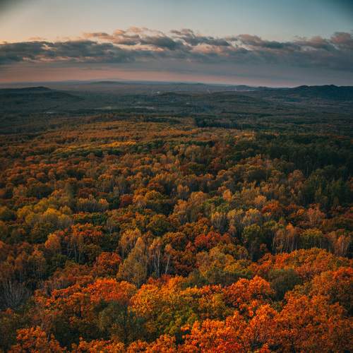 Photo #6539781