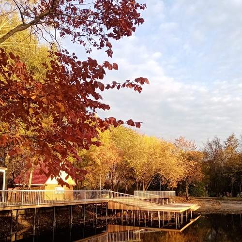 Photo #6539783