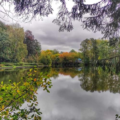 Photo #6539817