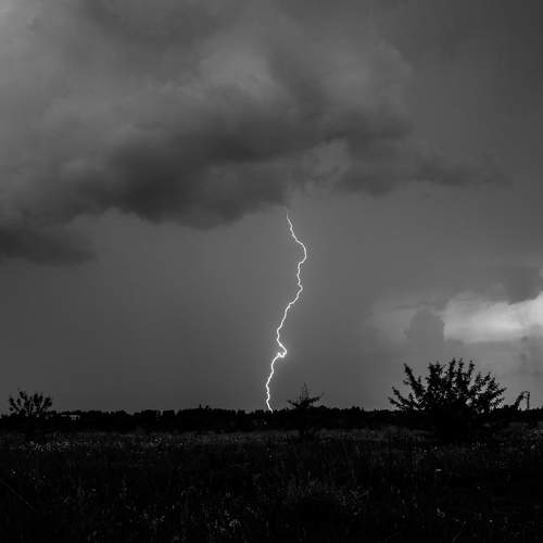 Photo #6540011