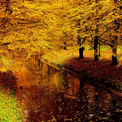 Photo #6540019