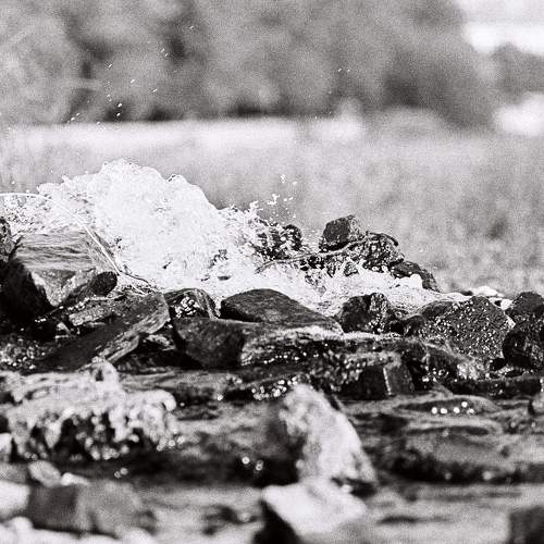 Photo #6540152