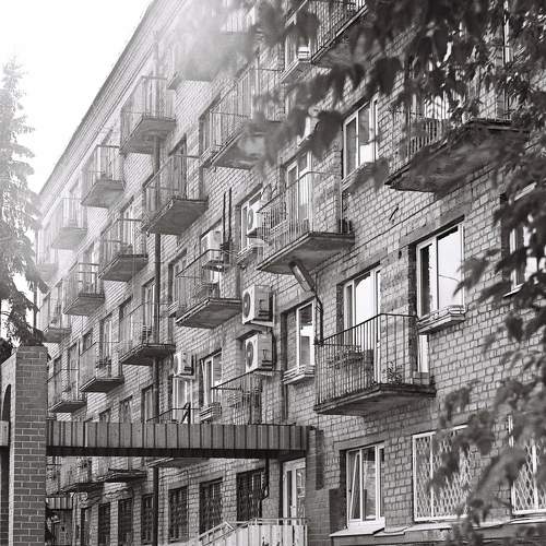 Photo #6540160