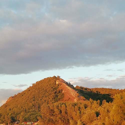 Photo #6540286