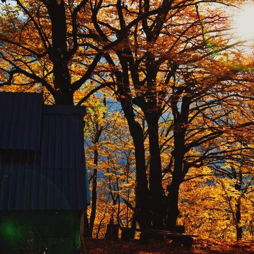 Photo #6540302