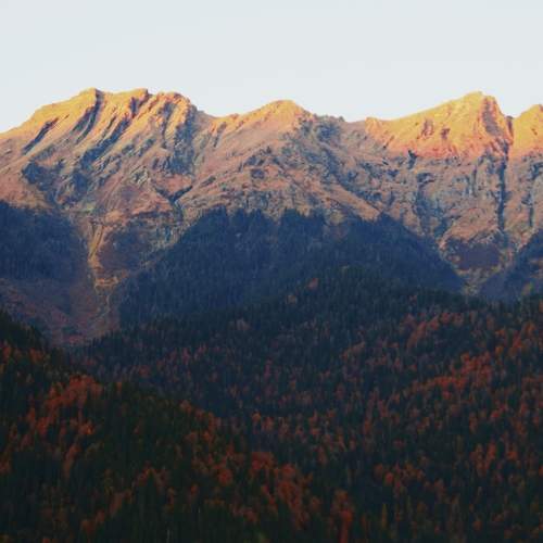 Photo #6540310